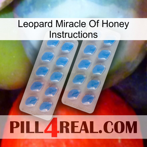 Leopard Miracle Of Honey Instructions 23.jpg